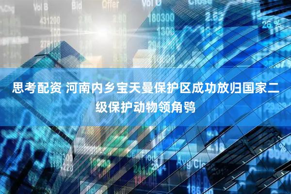 思考配资 河南内乡宝天曼保护区成功放归国家二级保护动物领角鸮