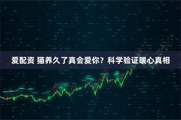 爱配资 猫养久了真会爱你？科学验证暖心真相
