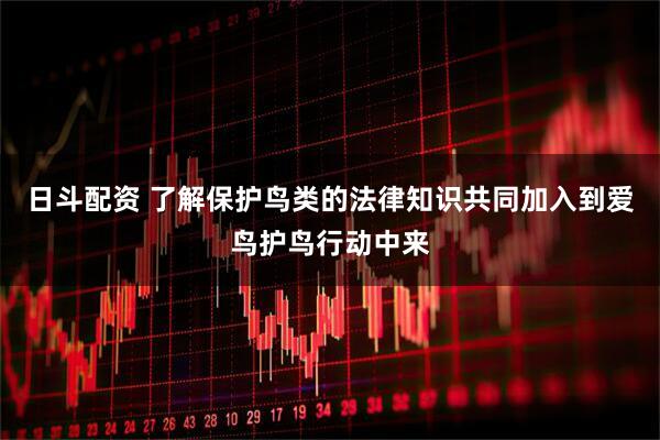 日斗配资 了解保护鸟类的法律知识共同加入到爱鸟护鸟行动中来