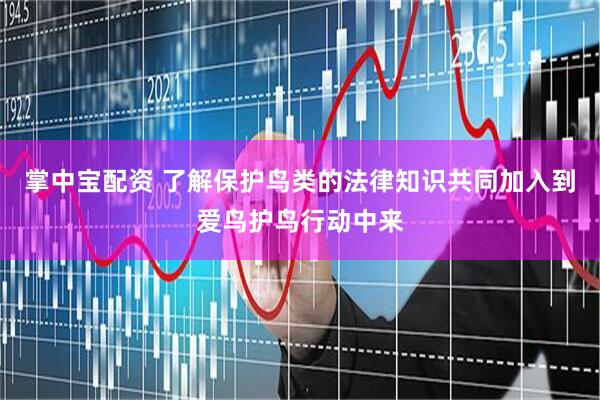 掌中宝配资 了解保护鸟类的法律知识共同加入到爱鸟护鸟行动中来