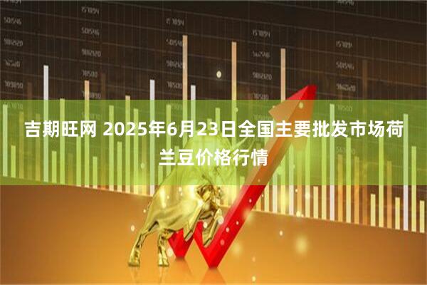 吉期旺网 2025年6月23日全国主要批发市场荷兰豆价格行情